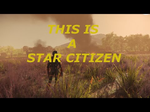 This is a Star Citizen