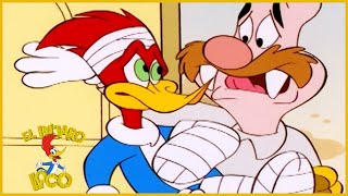 El Pájaro Loco en Español | En la Cima | Dibujos Animados en Español