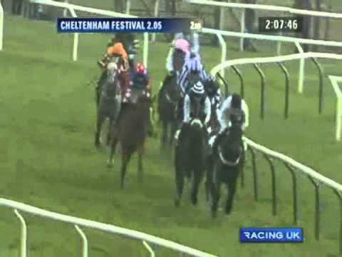 Cheltenham Festival 2011 - Irish Independent Arkle Challenge Trophy Chase