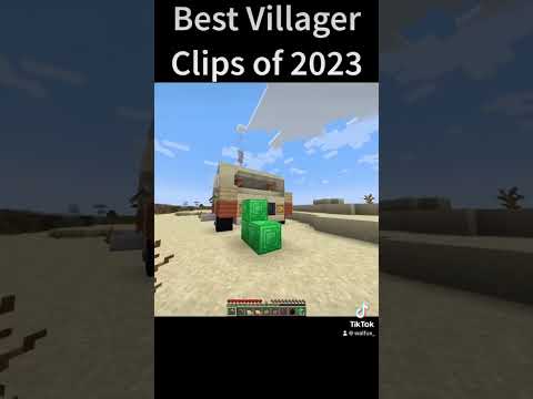 New Villager Update in Minecraft?! 😱 #villager #Minecraft