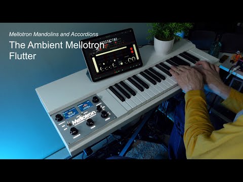 Mellotron Mandolin and Accordion Looping with a Long Delay - The Ambient Mellotron (M4000D Mini)