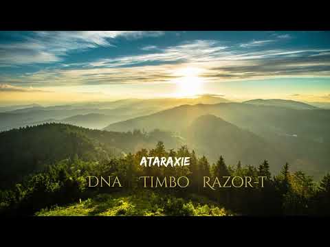 Dna - Timbo - Razor-t - Ataraxie ( prod by. Veysigz )
