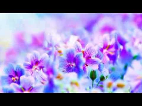 Rudolf Stambolla - A Te Kujtohet   ( HD Quality )