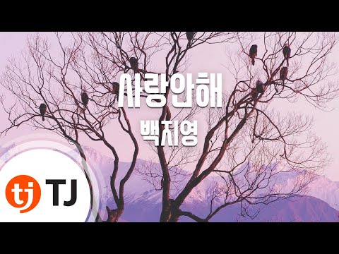 I Won't Love 사랑안해_BaekJiYoung 백지영_TJ노래방 (Karaoke/lyrics/romanization/KOREAN)