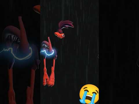 Coyote Kill Road Runner#coyote #roadrunners # Entertainment