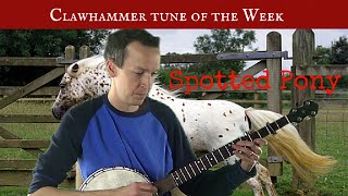Clawhammer Banjo: Tune (and Tab) of the Week - "Spotted Pony"