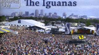 The Iguanas - Pocho - Live at the 2012 New Orleans Jazz and Heritage Festival