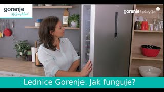 Gorenje NRK61DAXL4