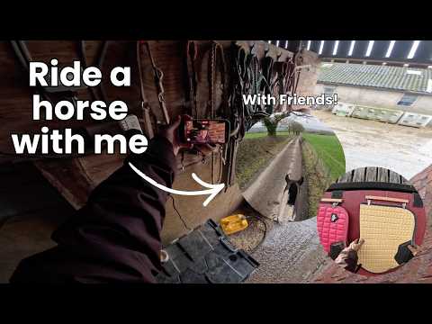Groom, Tack Up & Ride My Horse With Me | Riding With Friends | Lilscliffe