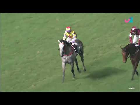 06/07/2022 (805) 平海歡星 (C377) 巴度