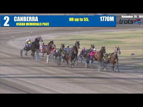 CANBERRA - 25/11/2019 - Race 2 - OSKAR MEMORIALS PACE