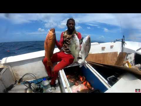 Antigua Spearfishing - Big Snapper (Tank Dive)(17,0ct ,2021)
