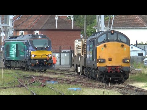 Cat 16 & 37607 On Bridgwater Flask - Wednesday 29th June 2016