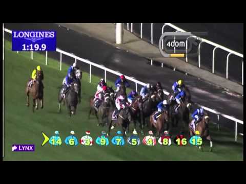 02.02.2013 Meydan (Dubai-UAE) 5.Race Longines Saint Imier -  1.600 m