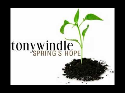 Tony Windle 'Spring's Hope'