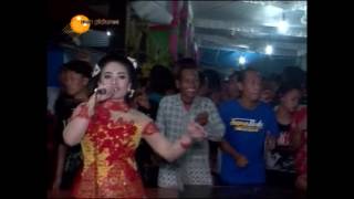 Download lagu Ngobong Ati - Erin Sabrina - Supra Nada mp3