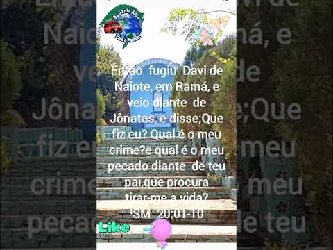 Nas asas do Senhor. Padre Fábio de Melo. #interior #mensagem #louvor #natureza