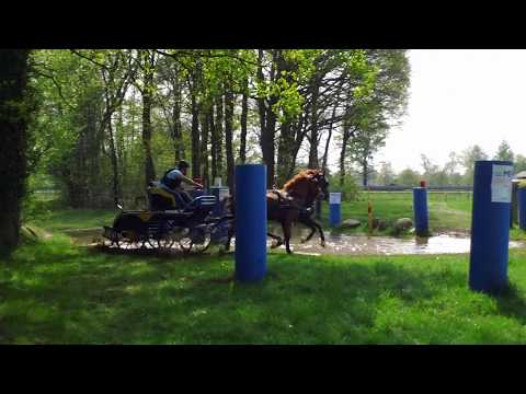 Fahrturnier Wettringen 22.4.2018