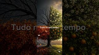 Tudo no seu tempo by Relaxe ao som