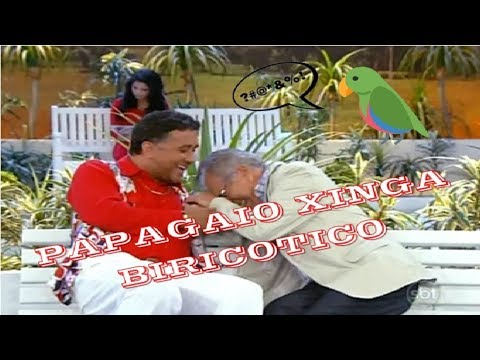 PAULINHO GOGÓ - PAPAGAIO XINGA BIRICOTICO #25