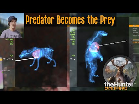 Predator Becomes the Prey theHunter Call of the Wild