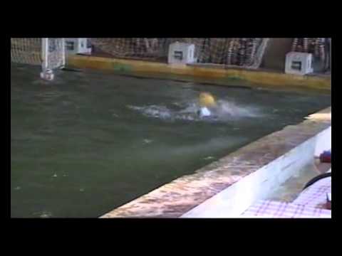 CS Crisul Oradea 1994