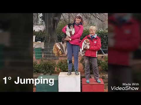 Moustic des Mayerling Vince tutto A1 Enci!