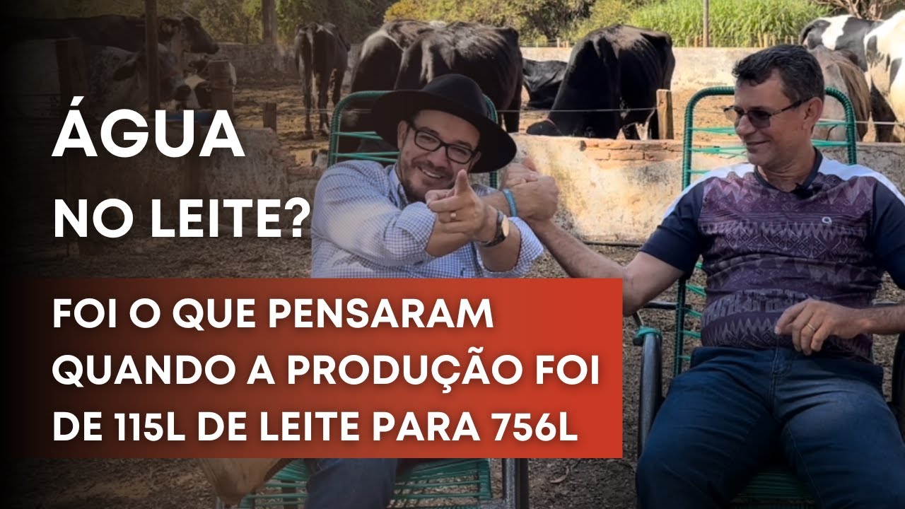 O que ele fez para as VACAS produzirem MAIS LEITE | Pecuária Leiteira
