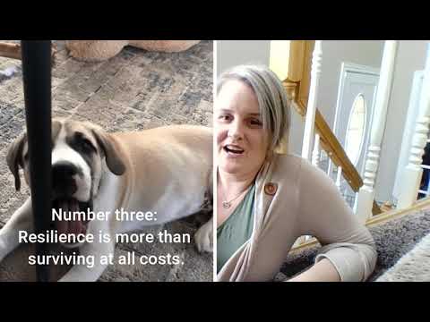 Roots of Resilience: What Resilience Is, and Isn't