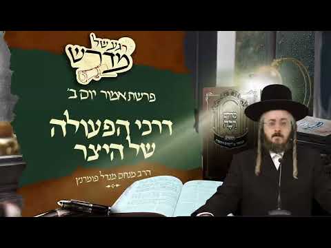 רגע של מדרש - יום ב' פרשת אמור