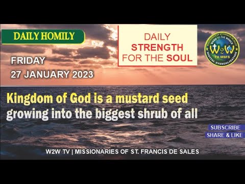 HOMILY | 27 JANUARY 2023 | 3RD WEEK IN ORDINARY TIME I | by Fr  Diago Fernandes MSFS