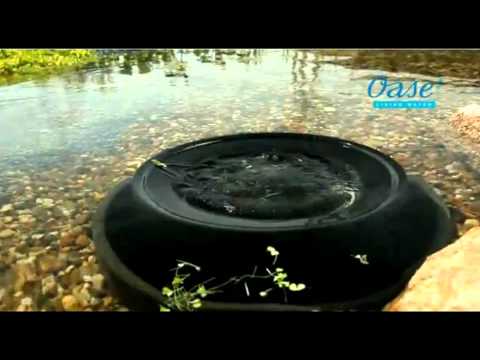 Watch Video on YouTube