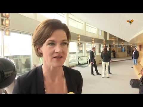 Anna Kinberg Batra om Löfvens nya regering