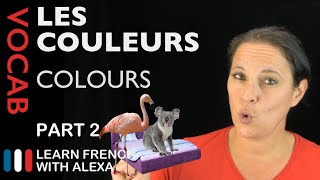 Colours in French Part 2 (basic French vocabulary from Learn French With Alexa)