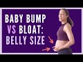 Bump Vs Bloat When Will My Belly Show Bump Size During Pregnancy