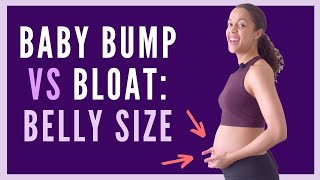 Bump vs Bloat - When Will My Belly Show? | Bump Size During Pregnancy