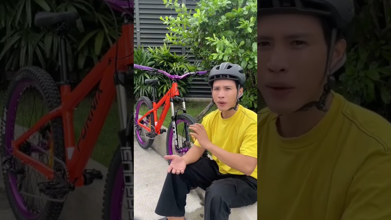 XE ĐẠP ĐỊA HÌNH FORNIX X12-V8