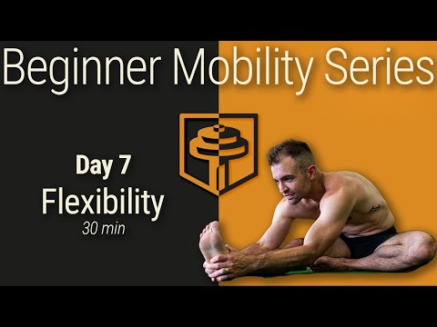 Day 7: Full Body Flexibility | 30 Minutes | Beginner Mobility Series thumbnail