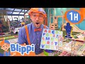 Blippi Visits An Indoor Playground Whiz Kids BEST OF BLIPPI Blippi Toys Educational Videos