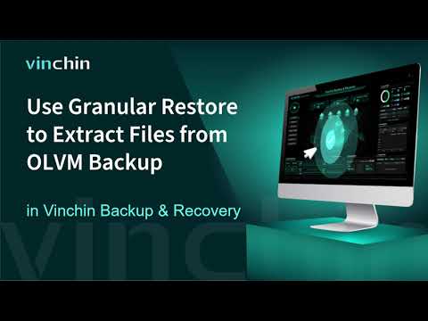 Use Granular Restore  to Extract Files from OLVM Backup in Vinchin Backup & Recovery?