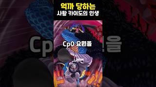 억까당하는 사황 카이도의 인생👈봐줘
