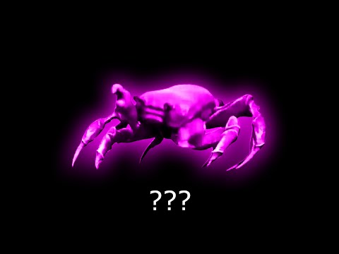 15 Crab Rave Sound Variations in 60 Seconds