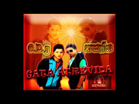 gata atrevida@1036records) @D.g ft screamflow