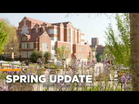 Chancellor's Spring Update