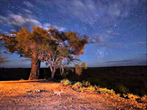 Deutsch Gabor - Retina Stars