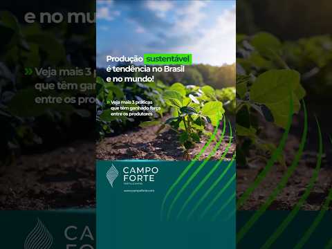 Reels Campo Forte 06