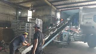 MV CT384- GAOU2399251