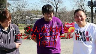 花粉症だから目にカレーかけてみた