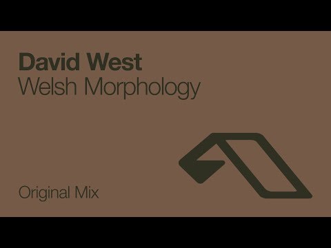 David West - Welsh Morphology [2008]