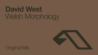 David West - Welsh Morphology [2008]